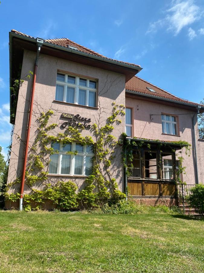 Villa Stara Apteka Srebrna Góra Екстериор снимка
